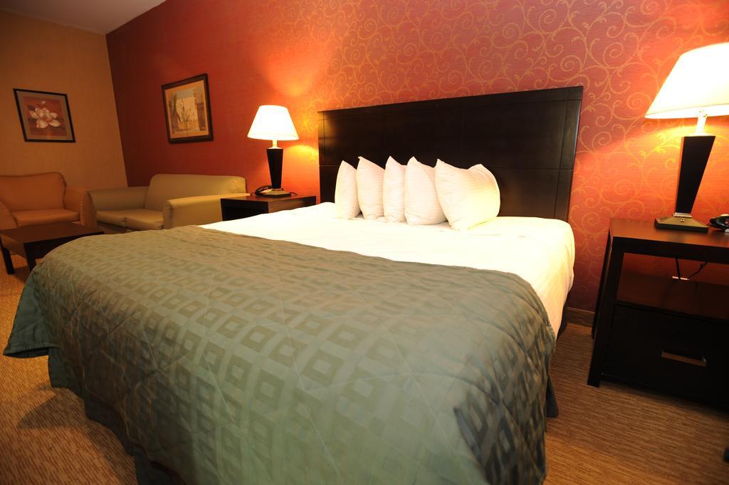 Verve Hotel Nova York Quarto foto