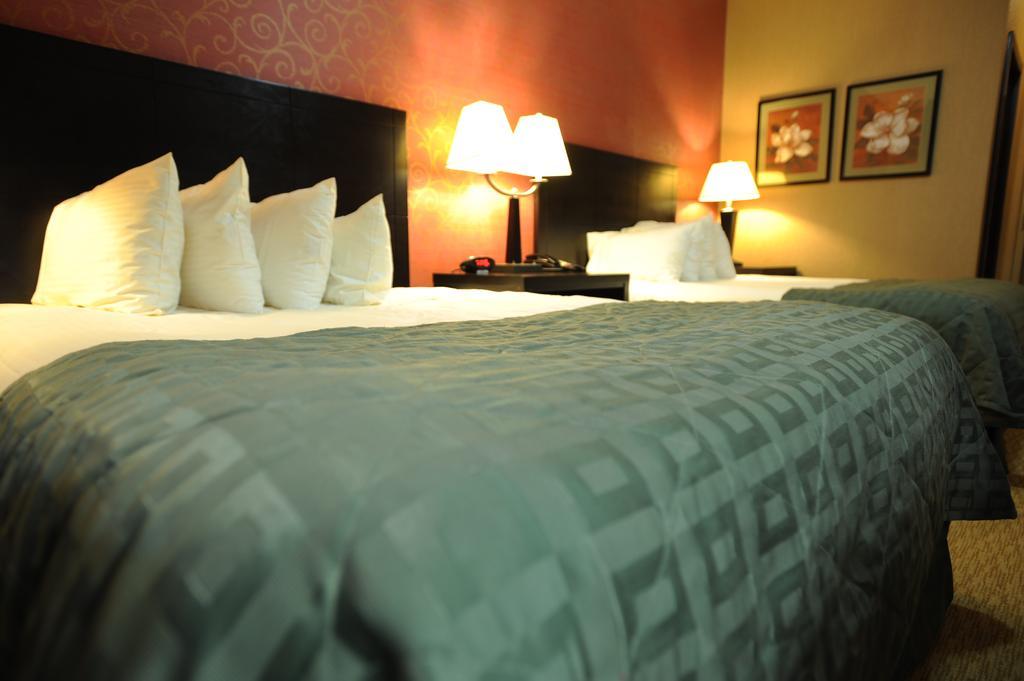 Verve Hotel Nova York Quarto foto
